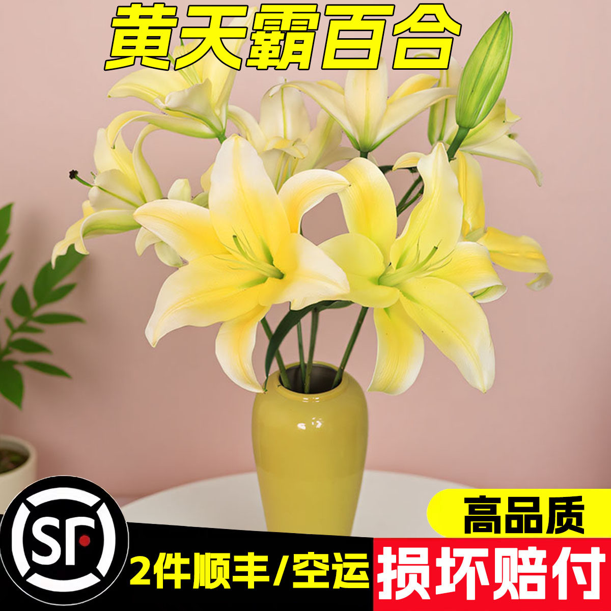 黄天霸香水百合花鲜花云南基地直发家用插花水养鲜切花2单发顺丰