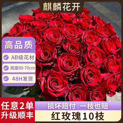 红玫瑰花鲜花云南直发