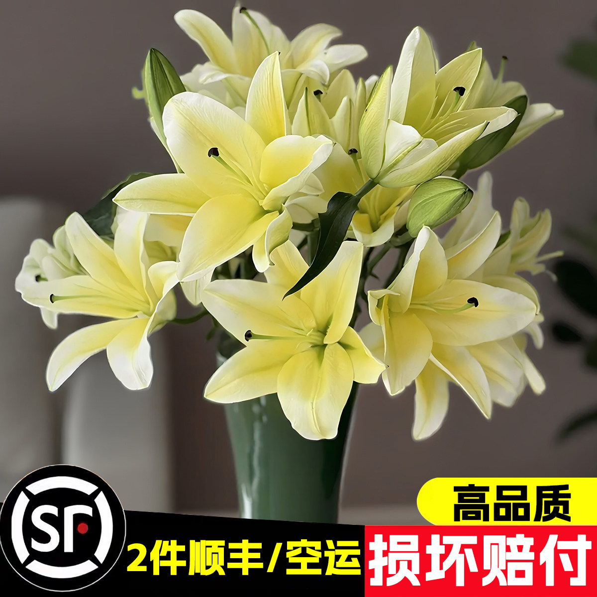 【老六直播专属】黄天霸5支2头香水百合花鲜花云南基地直发鲜切花