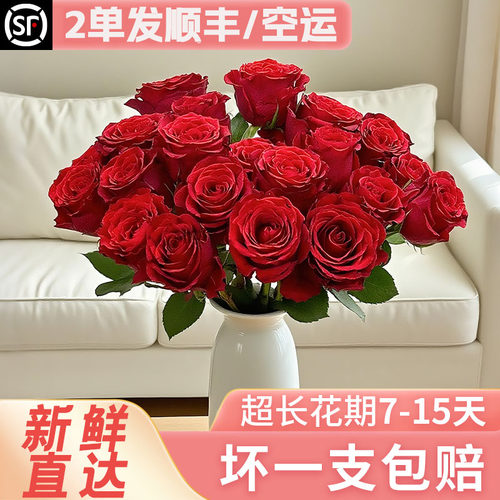 玫瑰花鲜花云南基地直发