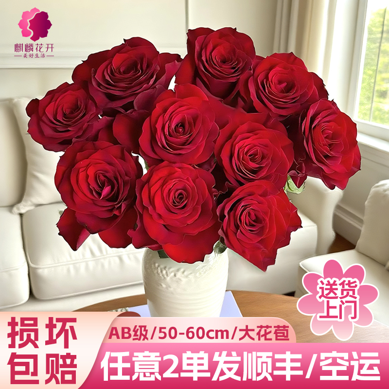玫瑰花鲜花云南基地直发