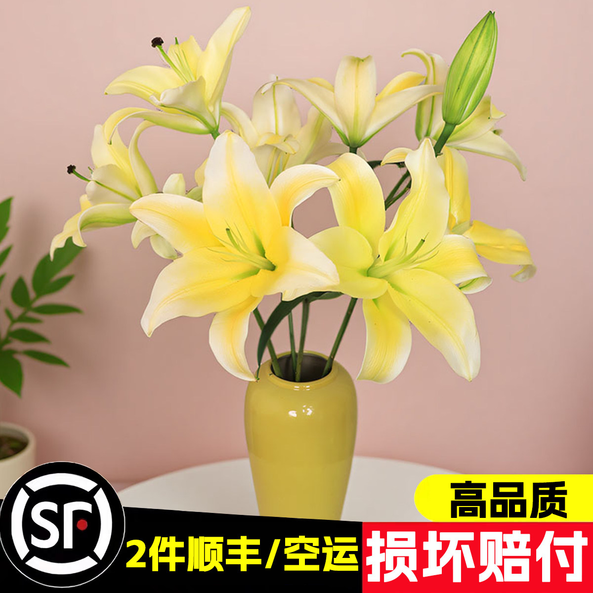 【老六直播专属】黄天霸香水百合花鲜花云南基地直发水养鲜切花