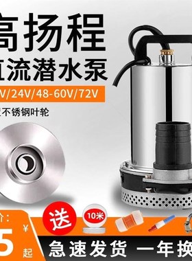 德国进口直流潜水泵12v48/60v家用电瓶车抽水泵小型电动车农用灌