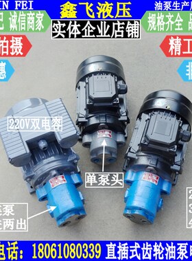 CB-B4/4  B6/6 B10/10双联带耳朵直插式齿轮油泵电机组装置