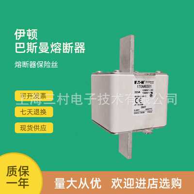 全新原装快速熔断器保险丝170M6393 170M6399 170M6408 170M6409