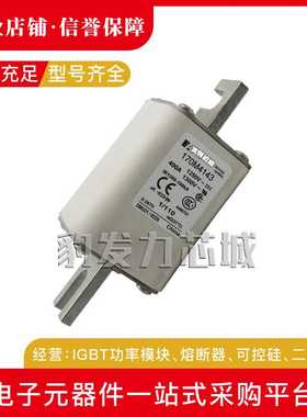 170M4158/4159/4160/4161/4162/4163/4164/65/66/67/68/69熔断器