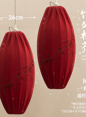 新年红色灯笼挂饰2025新款中式宫灯过年春节庭院阳台门口一对装饰