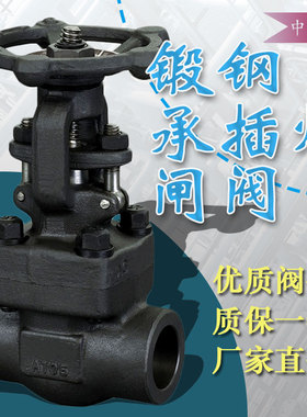 A105锻钢承插焊闸阀Z61H/Y-800Lb/PN64-140焊接高压高温热油蒸汽