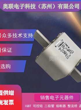 伊顿巴斯曼170M系列170M4835 170M6319 170M6369 170M3688 熔断器