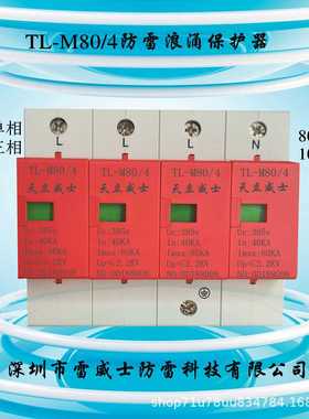 单相电源防雷模块 220V浪涌防雷器单相电源避雷模块B级40KA80K100