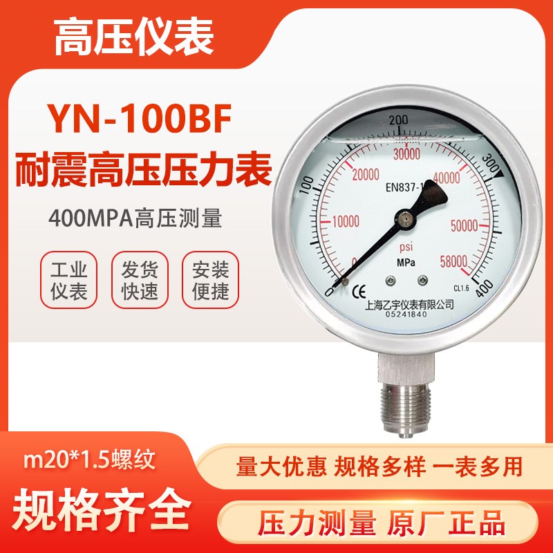 全不锈钢耐震压力表YN100BF100 160  200 250 400 MPA高压压力表