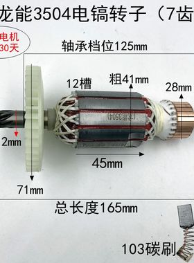 龙能3504电镐转子小霸王 小旋风 欧士达83503小 电锤通用电机配件
