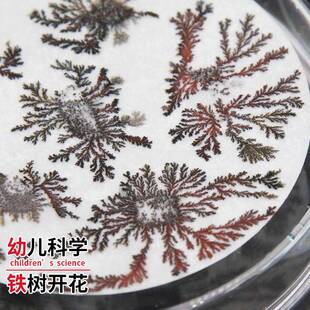 铁树开花科学实验包 小学生DIY教具 趣味化学实验套件 适合青少年