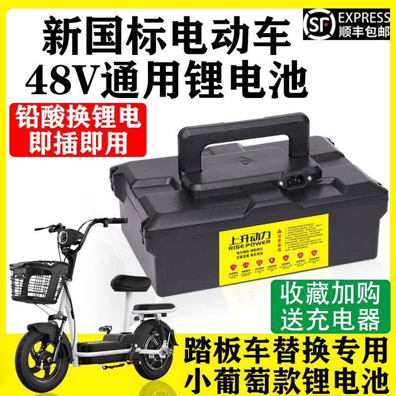 48V锂电池滑板车铅酸改锂电池12A 20AH新国标电动车通用款带手提