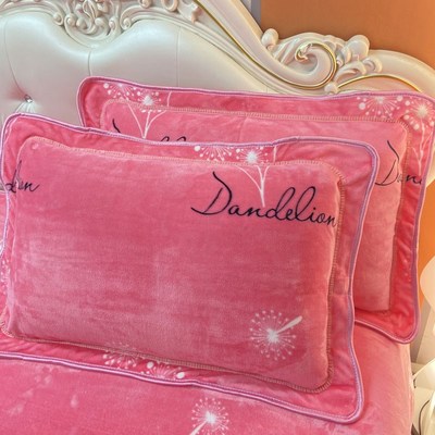 冬天加绒牛奶绒枕头家用单人学生枕芯加枕F套珊瑚绒可拆洗48x74cm