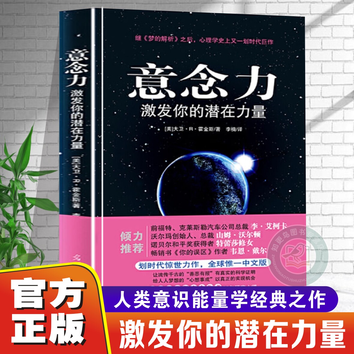 官方正版】意念力 激发你的潜在力量 大卫R霍金斯 人际交往心理学潜意识的力量 励志成功学 善恶有报 心想事成青春励志书意念力书