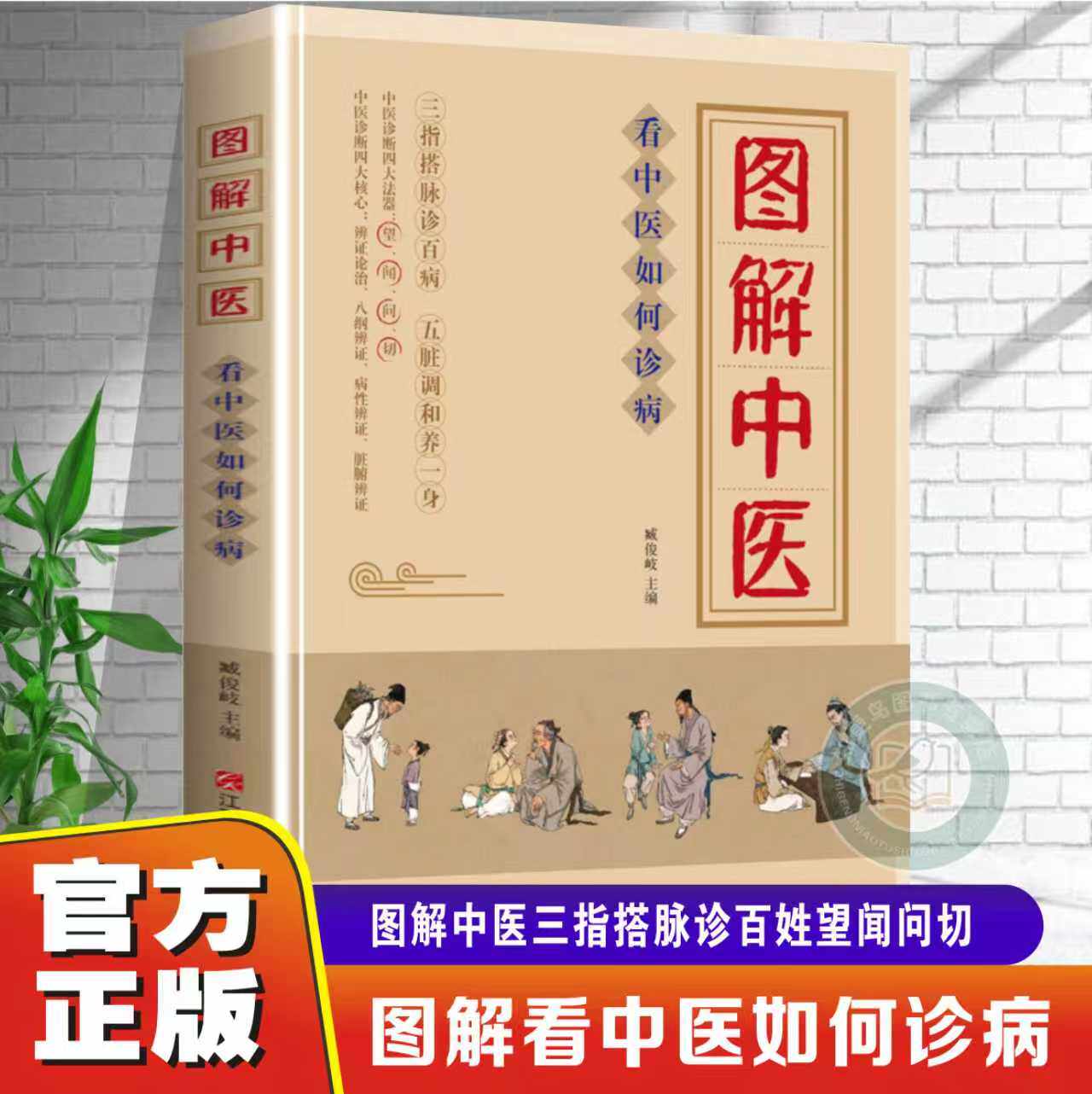 【官方正版】图解中医看中医如何诊病三指搭脉诊百病五脏调和养一身中医诊断四大法器望闻问切中医诊断学治疗家庭中医零基础入门书