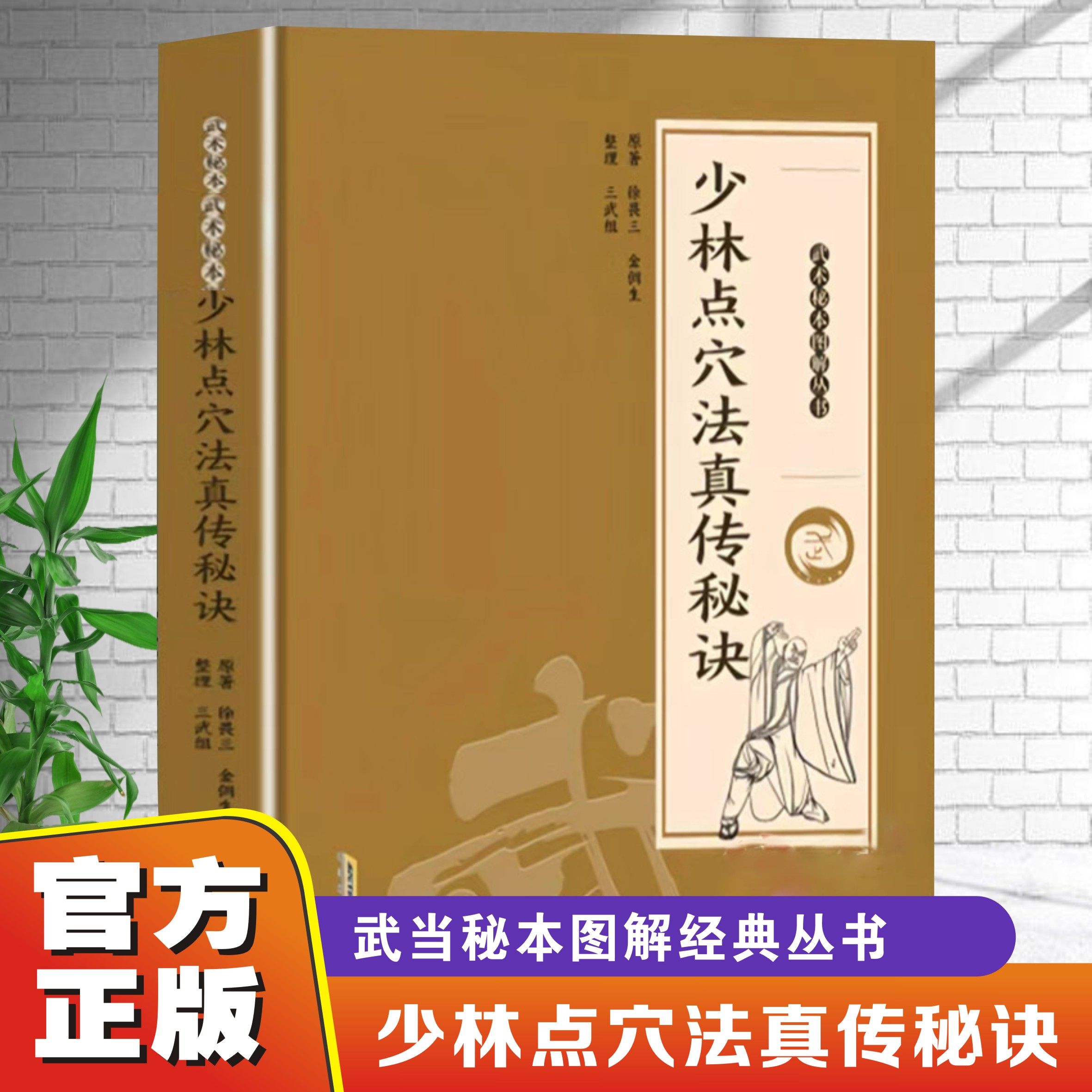 少林点穴法真传秘诀武术秘本丛书