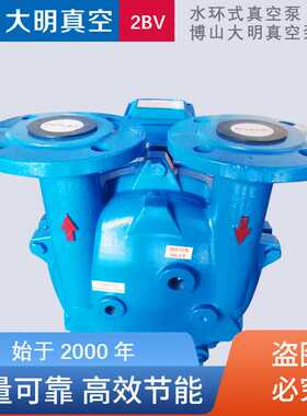 厂供2BV5110/2BV5111/5121/2BV5131/51612BV系列耐腐蚀水环真空泵