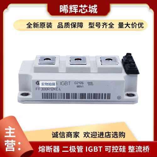 FP20R06YE3 FP30R06YE3 全原装装电子元器件模块IGBT功率现货