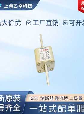 巴斯曼熔断器  170M4765 170M4766 170M4767 170M4768 170M4769