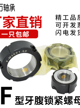 F型牙腹精密锁紧螺母径向机床主轴滚珠丝杆锁母防松止退FM20FM30