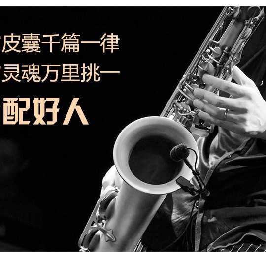 麦格维特MTS-280降B次中音萨克斯风乐器表面黑镍金键