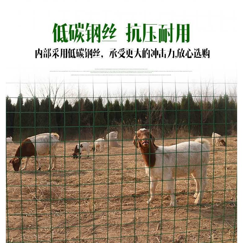 丝网格网菜园加密网爬藤栅栏网爬花架铁丝方格篱笆网网格围栏户外