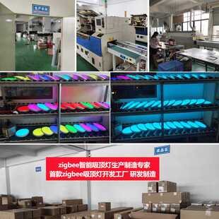 zigbee智能吸顶灯alexa直连语音APP远程控制调光调色三防面板灯