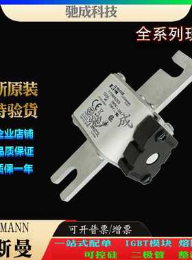 巴斯曼170M4265 170M4266 170M4267 厂家供货优价供应 全新熔断器