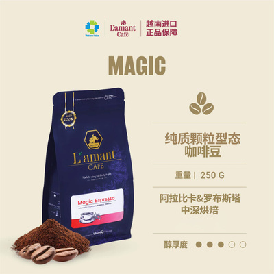越南原装进口拼配咖啡豆中烘250g