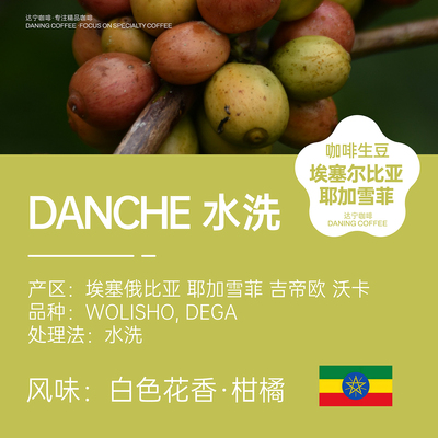达宁咖啡生豆2025产季埃塞俄比亚耶加雪菲DANCHE水洗1KG