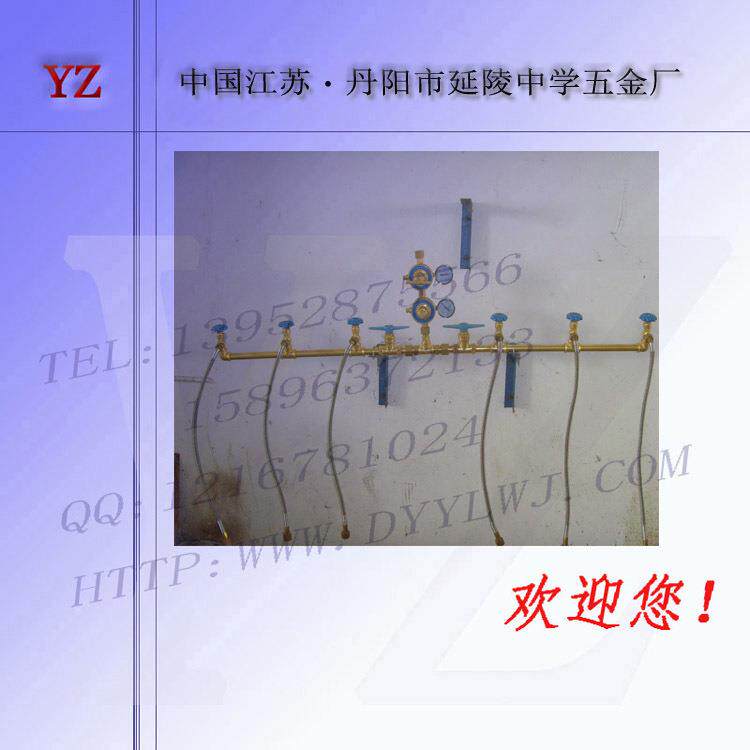 氮气汇流排 氮气充灌设备　氮气充灌排　双侧双路氮气充装台