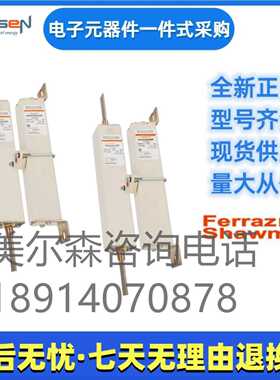 美尔森熔断器  D300GC20C25QF  S086933   D300GC20C32QF T086934