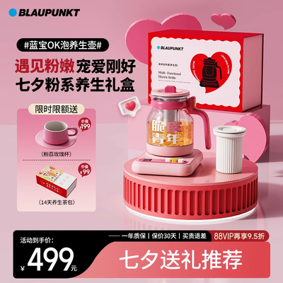 【送礼推荐】蓝宝ok泡养生壶炖煮