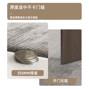 现代简约风地垫门口地毯门口垫可擦免洗进门玄关R地垫入户地毯定