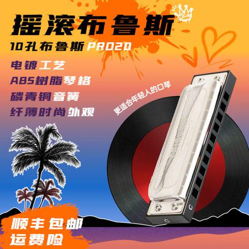东方鼎摇滚布鲁斯十孔口琴10孔初学专业演奏款PRO 20paddy 音调
