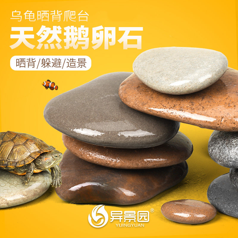 乌龟晒台天然原生造景用品鹅卵石乌龟缸扁平晒背爬台休息石头躲避,畜牧/养殖物资,畜牧/养殖器械,淘宝优惠券,粉丝福利购,淘宝优惠卷