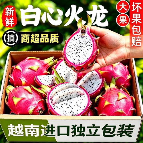 越南白心火龙果新鲜好吃