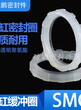 SMC拉杆气缸MBB/C96/CP96缓冲密封圈32/40/50/63/80/100优质耐磨