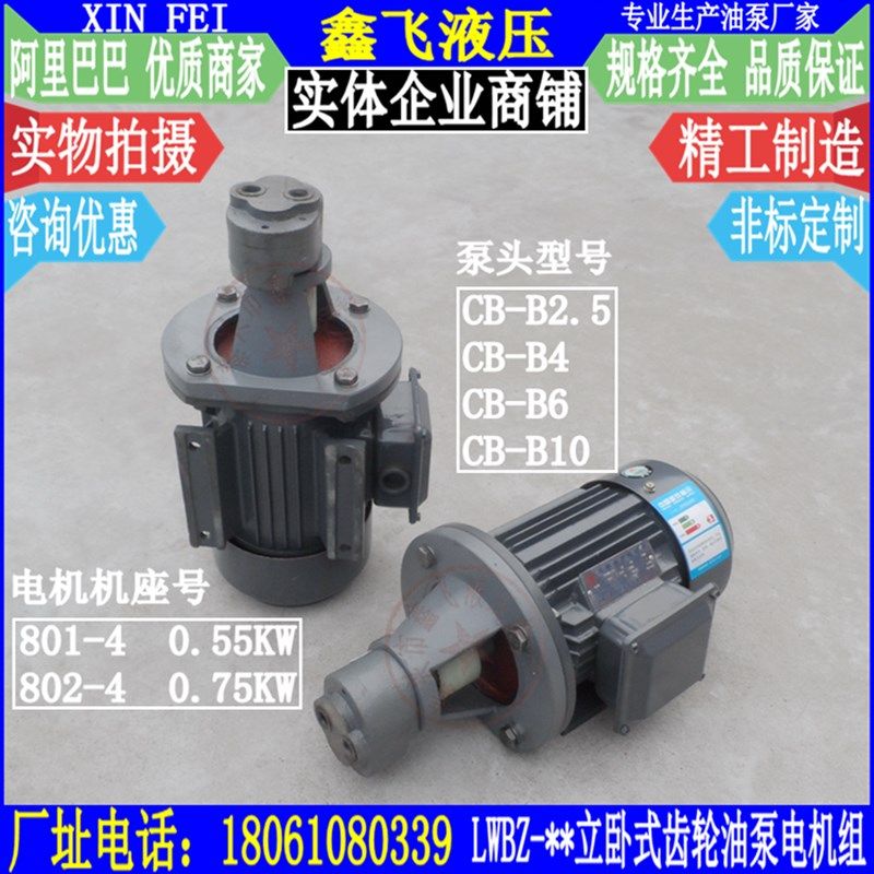 LWBZ-CB-B2.5 B4 B6 B10JZ立卧两用式齿轮油泵电机组 液压油泵