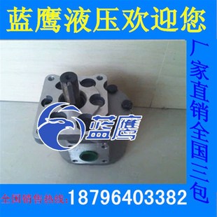 E525 E528 E563 CBT E580齿轮泵BFPHL E550 E520 E540 CBN E532