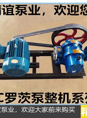 高温电动罗茨泵LC10自吸泵高稠度罗茨泵齿轮油泵抽油泵输送泵整机