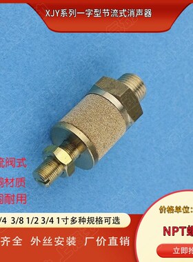 金属气缸消音器  烧结可调消声器 XJY-N01N02N03N04N06N10-M5 NPT