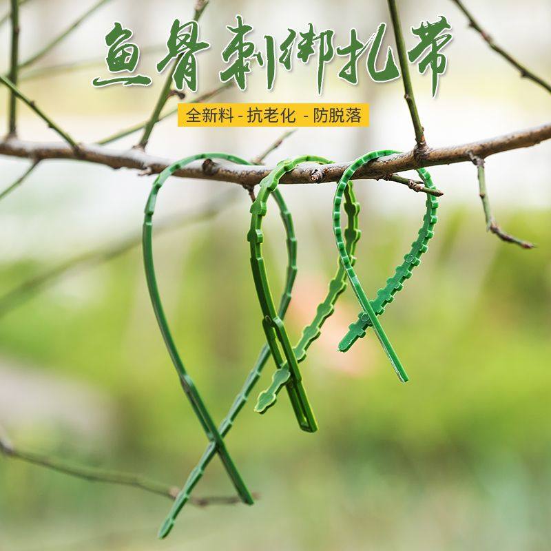 鱼骨型扎带固定扣牵引线可松式爬藤植物捆绑线绑园艺扎线固定神器,农用物资,苗木固定器/支撑器,淘宝优惠券,粉丝福利购,淘宝优惠卷
