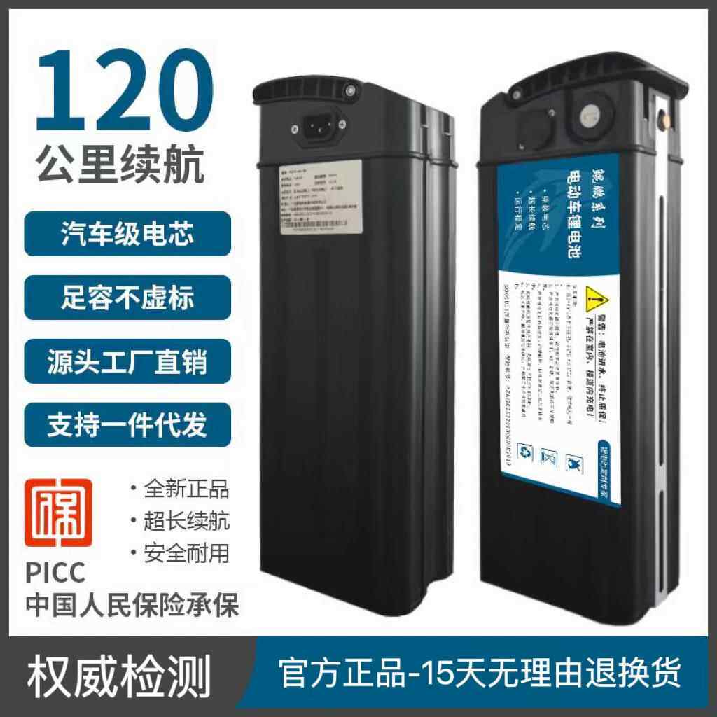 折叠电动车锂电池48v大容量代驾专用海霸款V便携自行新日通用电瓶