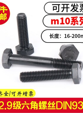 12.9级外六角螺丝M10X16x20x25x30x35x40x45x50X55X60X70全牙螺栓