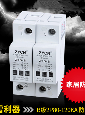 浪涌保护器 2P 80-120KA220V避雷器防雷保护器家用防雷器防雷模块