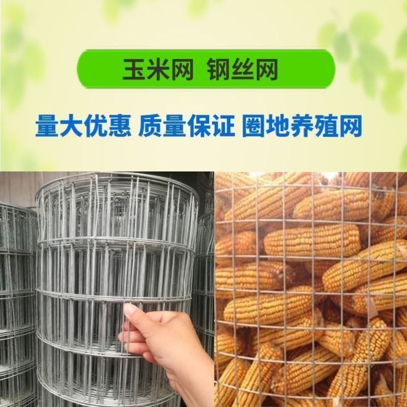 圈玉米网镀锌铁丝网围栏养殖网钢丝加粗电焊网拦鸡超硬护栏防护网