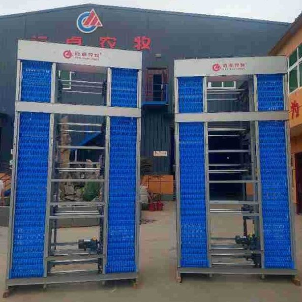 新型全自动蛋鸭笼养殖场 浙江金华蛋鸭自动集约化养殖 自动捡蛋